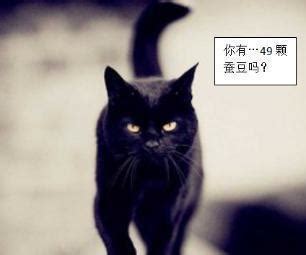 黑貓招陰
